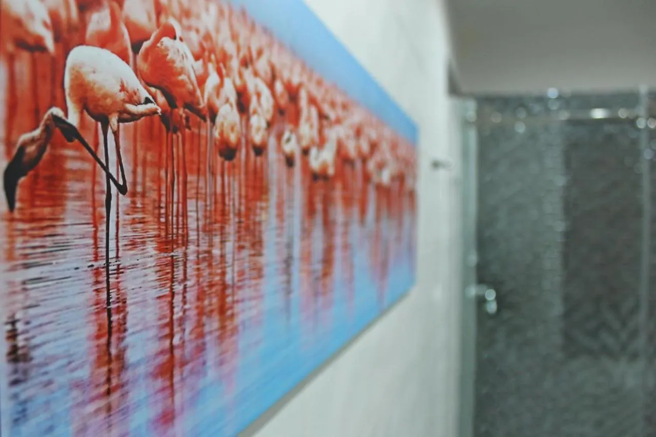 Flamingo Luxury Apartment Ajpsardinia Cagliari 0*,