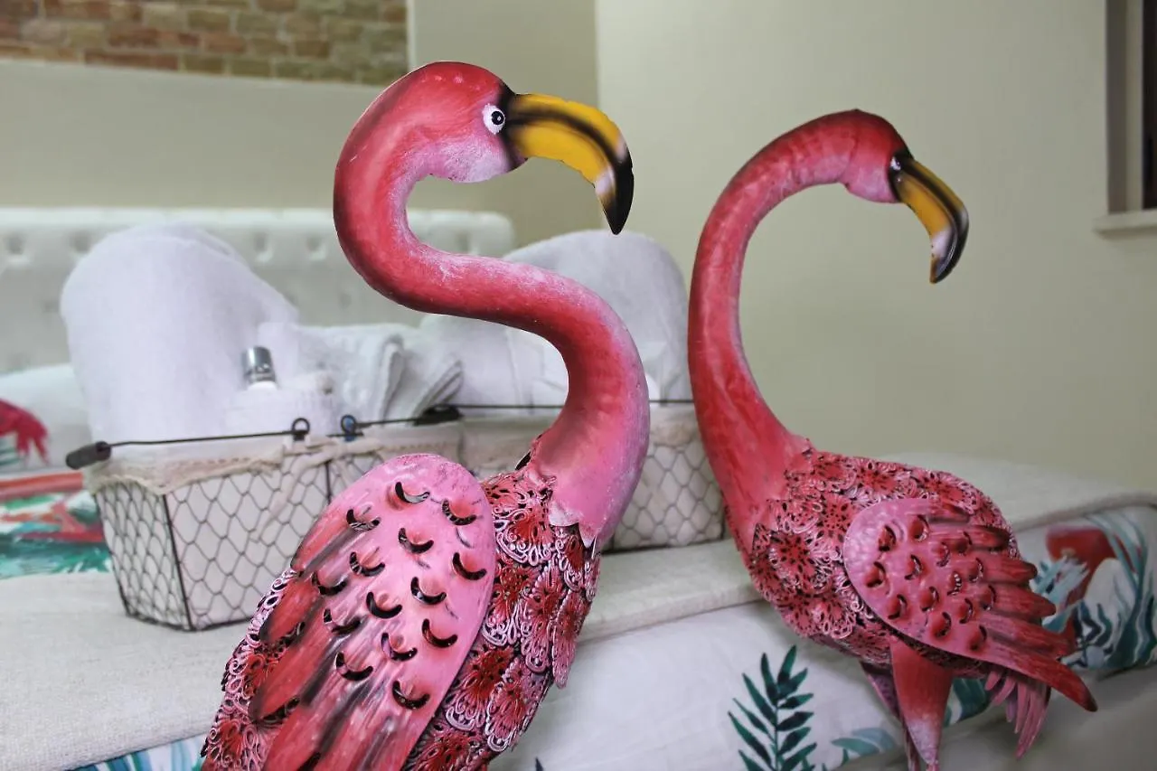 Flamingo Luxury Apartment Ajpsardinia Cagliari