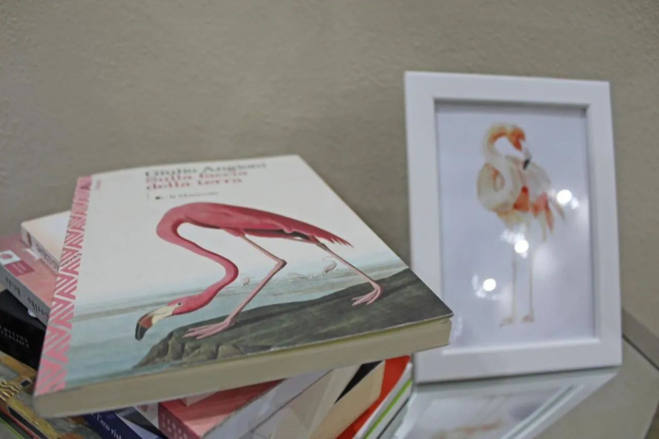 Flamingo Luxury Apartment Ajpsardinia Cagliari